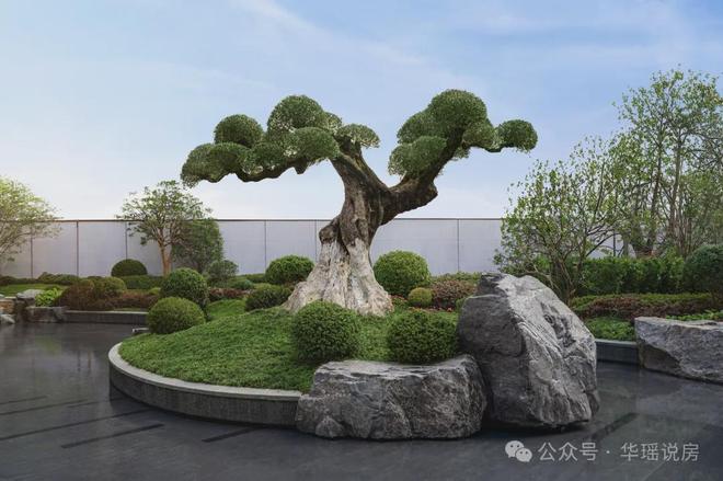 狮山「安雲180」惊爆开卷！苏州神盘！360°兑现王！(图4)